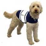 dog2